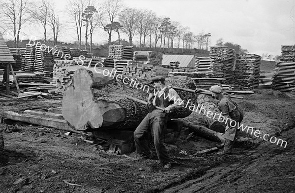 SAW MILLS NEAR NEW INN GATE